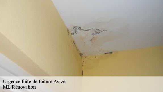 Urgence fuite de toiture  avize-51190 ML Rénovation