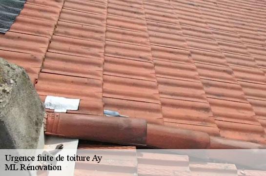 Urgence fuite de toiture  51160