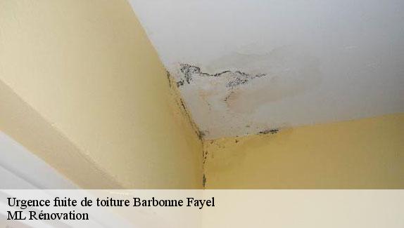 Urgence fuite de toiture  barbonne-fayel-51120 ML Rénovation