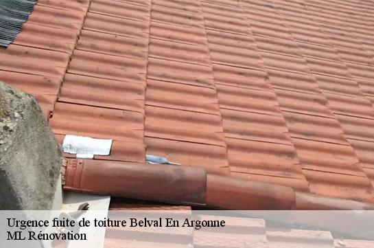 Urgence fuite de toiture  51330