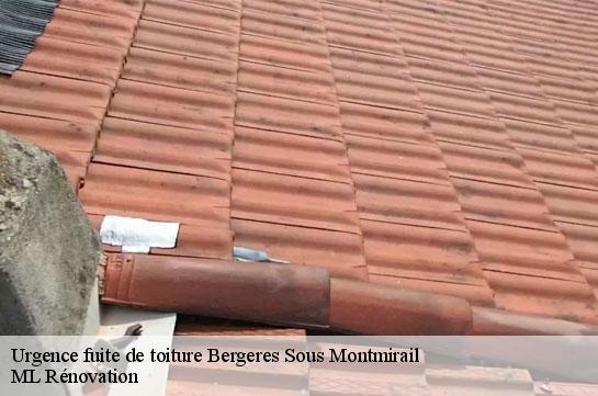 Urgence fuite de toiture  51210