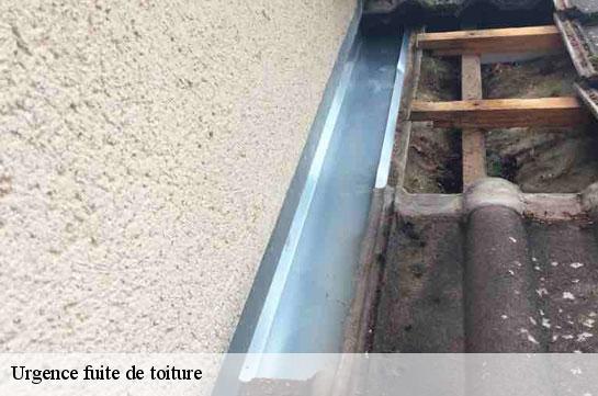 Urgence fuite de toiture  51400