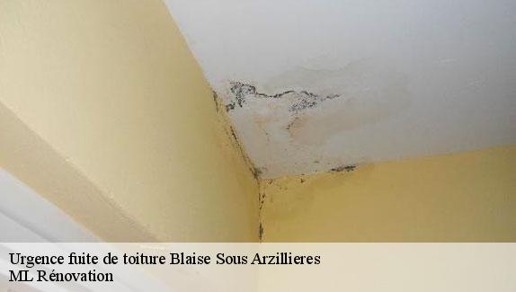 Urgence fuite de toiture  blaise-sous-arzillieres-51300 ML Rénovation