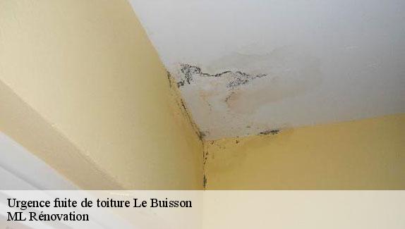 Urgence fuite de toiture  le-buisson-51300 ML Rénovation