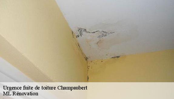 Urgence fuite de toiture  champaubert-51270 ML Rénovation