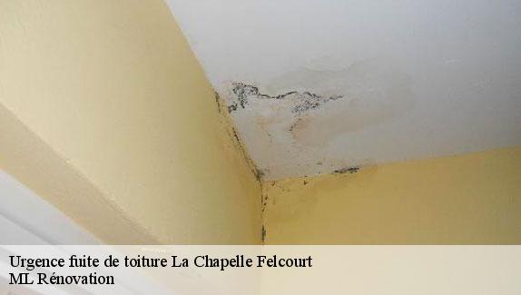 Urgence fuite de toiture  la-chapelle-felcourt-51800 ML Rénovation