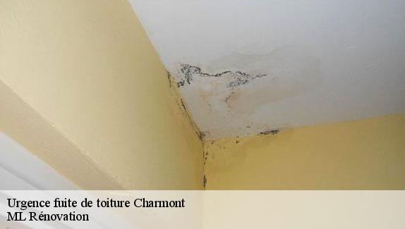Urgence fuite de toiture  charmont-51330 ML Rénovation