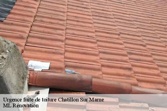 Urgence fuite de toiture  51700