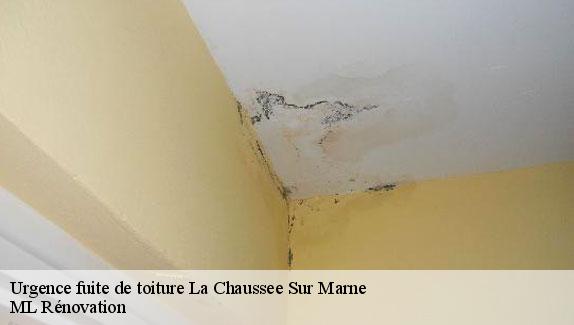 Urgence fuite de toiture  la-chaussee-sur-marne-51240 ML Rénovation
