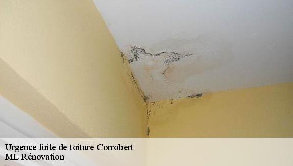 Urgence fuite de toiture  corrobert-51210 Corsellis couvreur 51