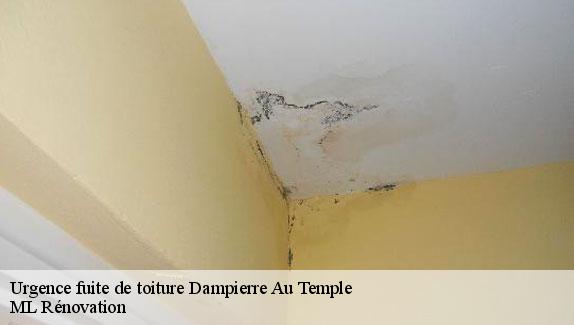 Urgence fuite de toiture  51400