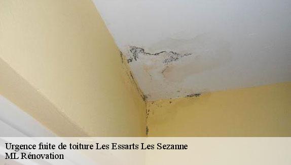 Urgence fuite de toiture  les-essarts-les-sezanne-51120 ML Rénovation