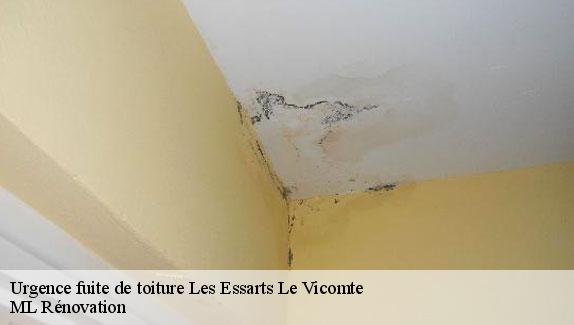 Urgence fuite de toiture  les-essarts-le-vicomte-51310 ML Rénovation