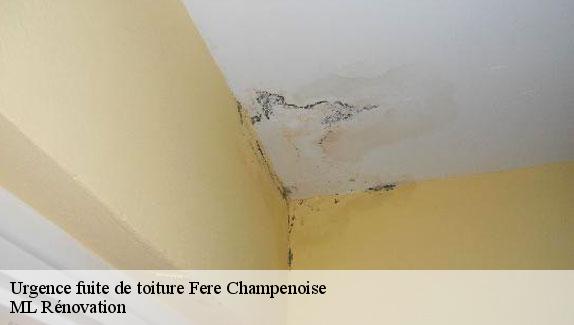 Urgence fuite de toiture  fere-champenoise-51230 ML Rénovation