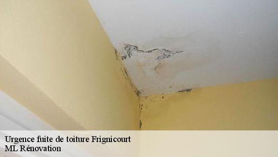 Urgence fuite de toiture  frignicourt-51300 ML Rénovation