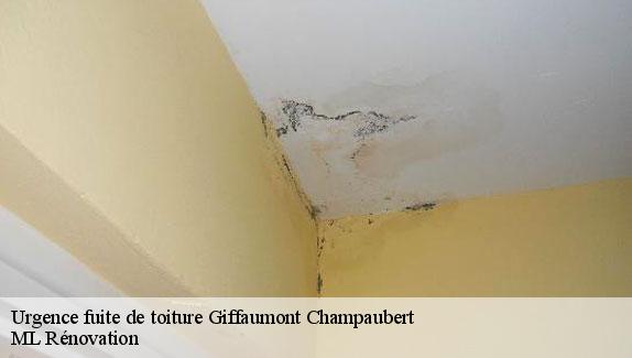 Urgence fuite de toiture  giffaumont-champaubert-51290 ML Rénovation