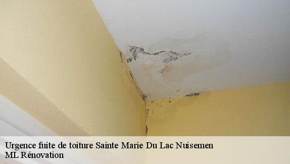 Urgence fuite de toiture  sainte-marie-du-lac-nuisemen-51290 ML Rénovation