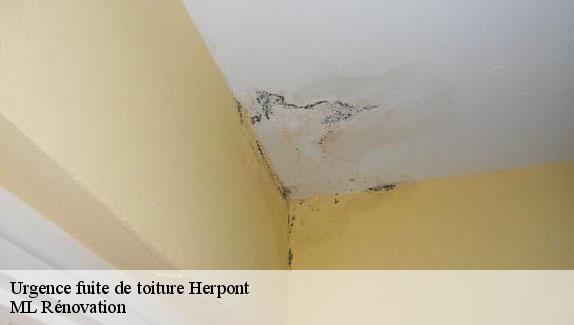 Urgence fuite de toiture  herpont-51460 Corsellis couvreur 51