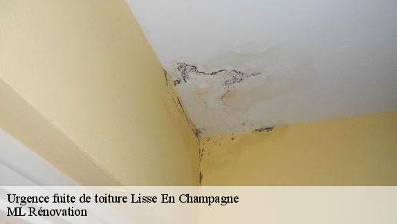 Urgence fuite de toiture  lisse-en-champagne-51300 Corsellis couvreur 51