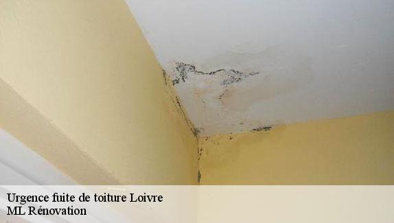 Urgence fuite de toiture  loivre-51220 ML Rénovation