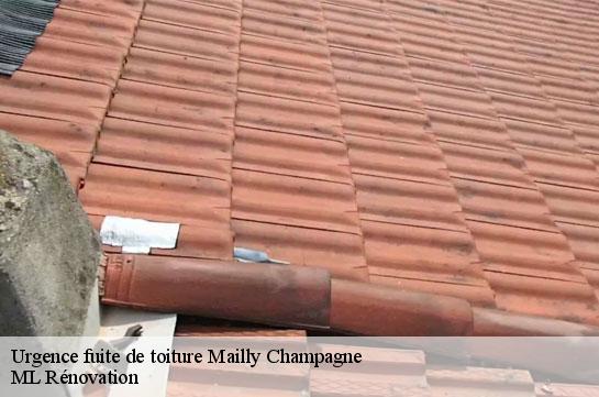 Urgence fuite de toiture  51500