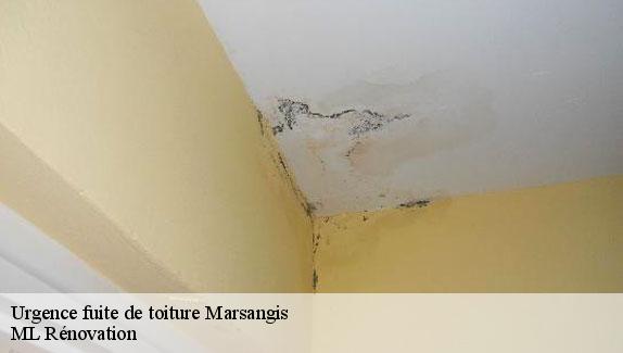 Urgence fuite de toiture  marsangis-51260 ML Rénovation