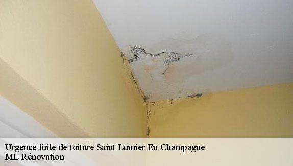 Urgence fuite de toiture  saint-lumier-en-champagne-51300 ML Rénovation
