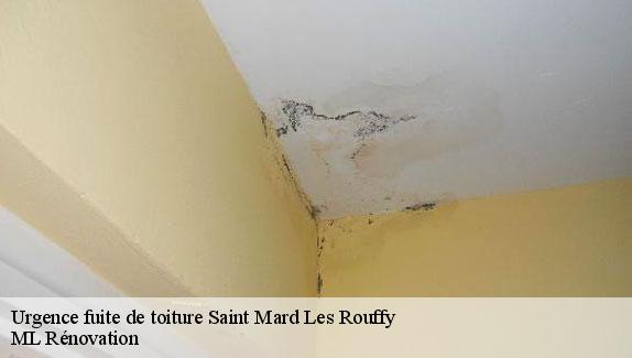 Urgence fuite de toiture  saint-mard-les-rouffy-51130 ML Rénovation