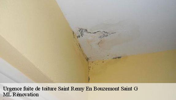 Urgence fuite de toiture  saint-remy-en-bouzemont-saint-g-51290 ML Rénovation