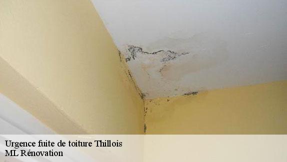 Urgence fuite de toiture  thillois-51370 ML Rénovation