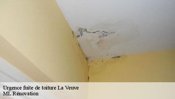 Urgence fuite de toiture  la-veuve-51520 ML Rénovation