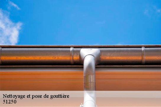 Nettoyage et pose de gouttière  51250