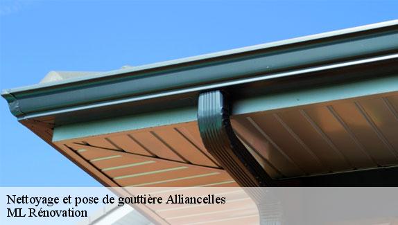 Nettoyage et pose de gouttière  51250