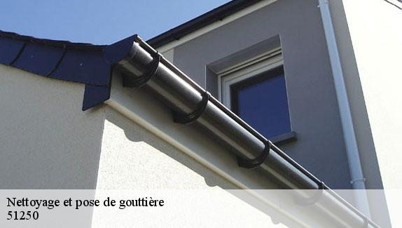 Nettoyage et pose de gouttière  51250