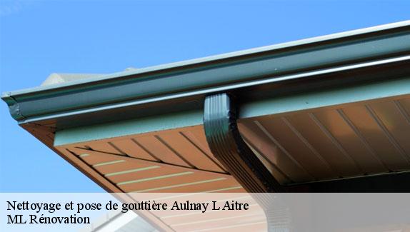 Nettoyage et pose de gouttière  51240