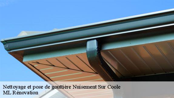 Nettoyage et pose de gouttière  51240