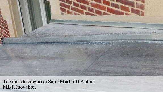 Travaux de zinguerie  saint-martin-d-ablois-51200 ML Rénovation