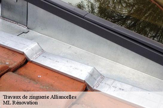 Travaux de zinguerie  51250