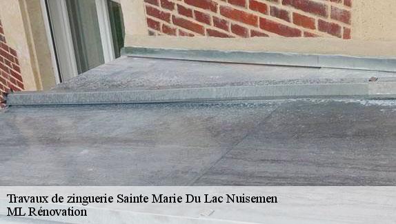 Travaux de zinguerie  sainte-marie-du-lac-nuisemen-51290 ML Rénovation