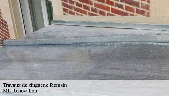 Travaux de zinguerie  romain-51140 ML Rénovation