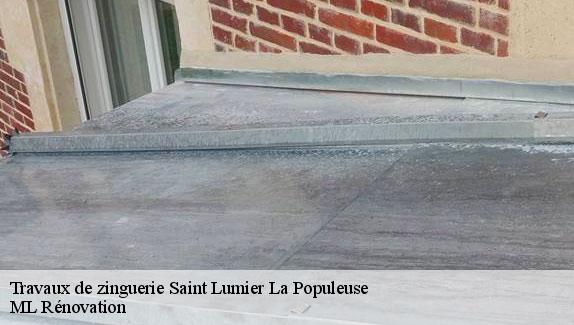 Travaux de zinguerie  saint-lumier-la-populeuse-51340 ML Rénovation