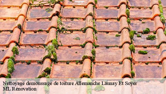 Nettoyage demoussage de toiture  allemanche-launay-et-soyer-51260 ML Rénovation