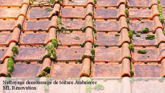 Nettoyage demoussage de toiture  ambrieres-51290 ML Rénovation