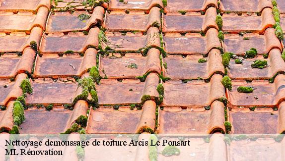 Nettoyage demoussage de toiture  arcis-le-ponsart-51170 ML Rénovation