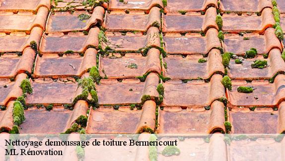 Nettoyage demoussage de toiture  bermericourt-51220 ML Rénovation