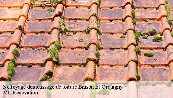 Nettoyage demoussage de toiture  binson-et-orquigny-51700 ML Rénovation