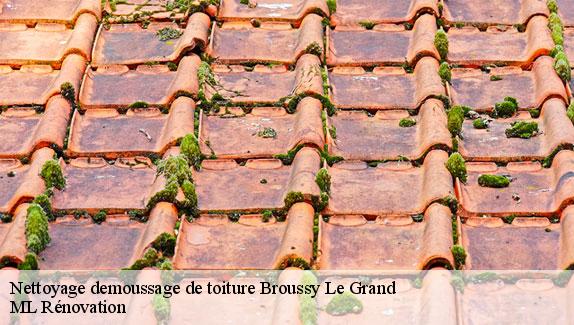 Nettoyage demoussage de toiture  broussy-le-grand-51230 ML Rénovation