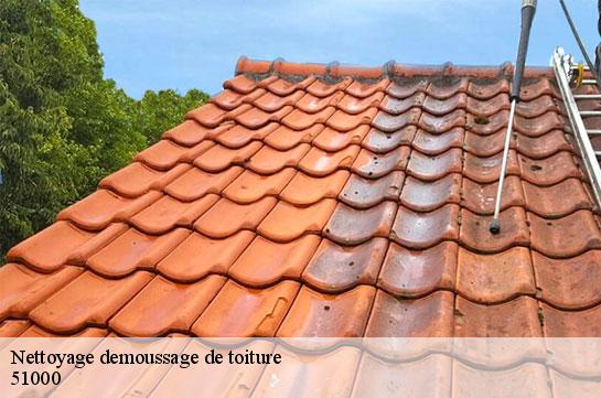 Nettoyage demoussage de toiture  51000