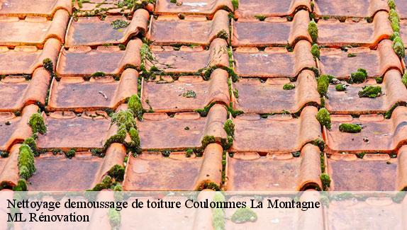 Nettoyage demoussage de toiture  coulommes-la-montagne-51390 ML Rénovation
