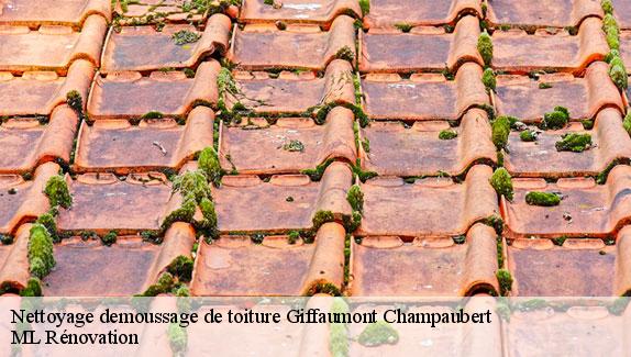 Nettoyage demoussage de toiture  giffaumont-champaubert-51290 ML Rénovation
